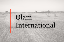 Консультировали Olam International по созданию совместного предприятия с РУСМОЛКО и по приобретению зернового терминала в Азове
