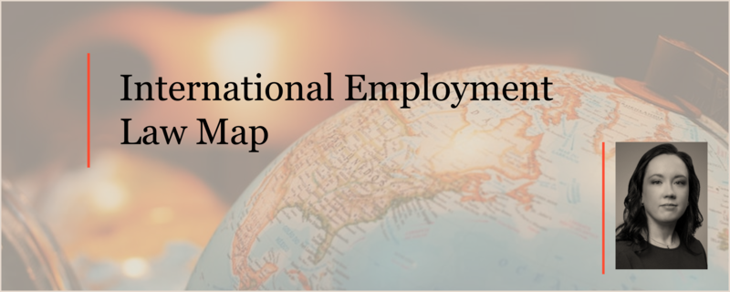 Elena Chershintseva prepared an article for the International Employment Law Map