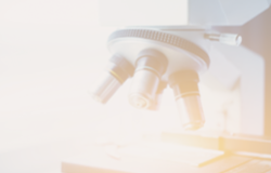 ALRUD experts held the webinar “Key legal trends for the companies in the pharmaceutical and healthcare industry in Russia”