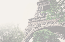 Margarita Egiazarova took part in the AIJA labour committee meeting in Paris