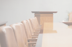 Анастасия Петрова - сопредседатель Compliance Committee AmCham