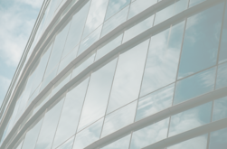 Interview with ALRUD Partner Margarita Egiazarova for RBC Industries