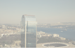 Margarita Egiazarova Speaks at AIJA International Labour Law Conference in Istanbul