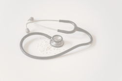Ksenia Erokhina and Ksenia Tarkhova speak at the meeting of the ICC Committee on Healthcare