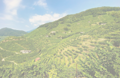 Key Takeaways from ALRUD’s Annual Dispute Resolution Event: Cross-Border Litigation – Challenges and Outlook