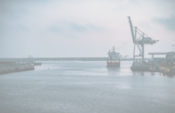 ALRUD experts discuss at a workshop the key challenges of customs regulation in 2024-2025