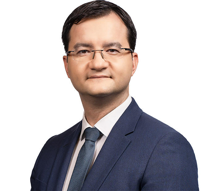 Stanislav Veselov | Of Counsel